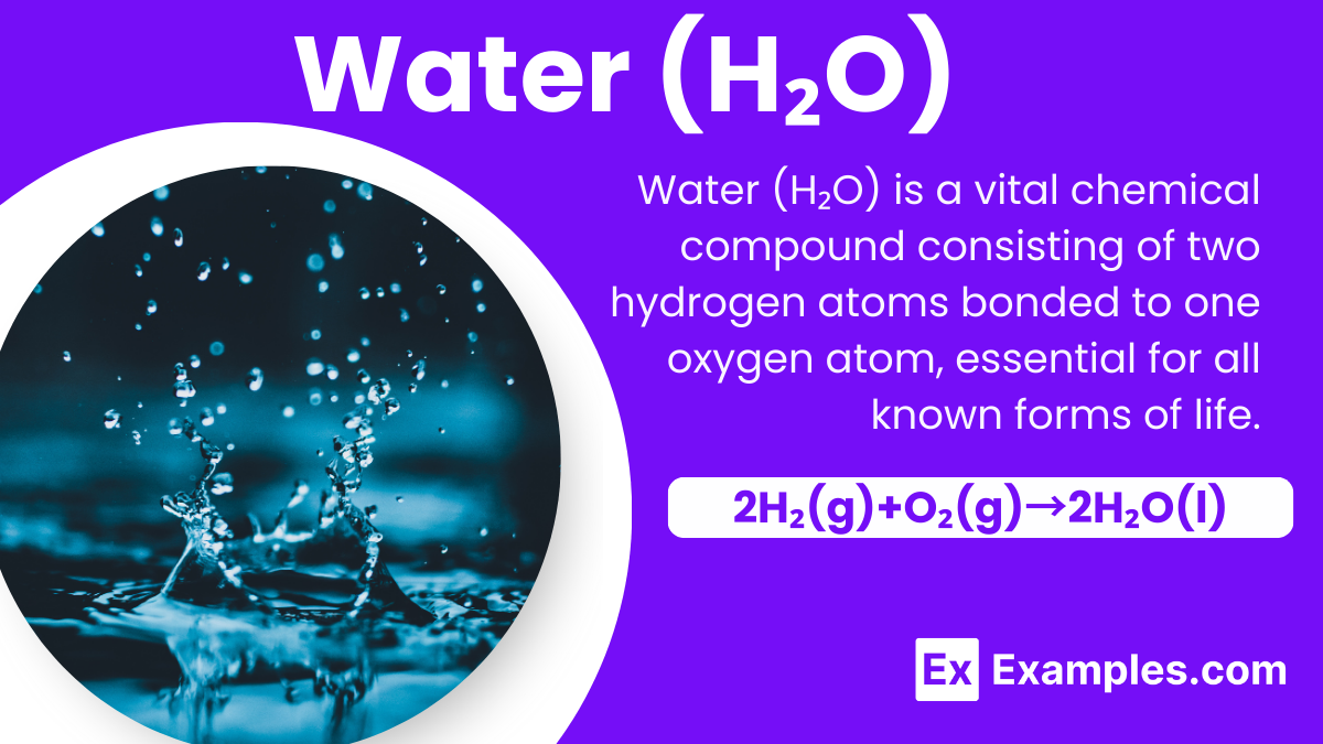 water cycle cut and paste worksheet