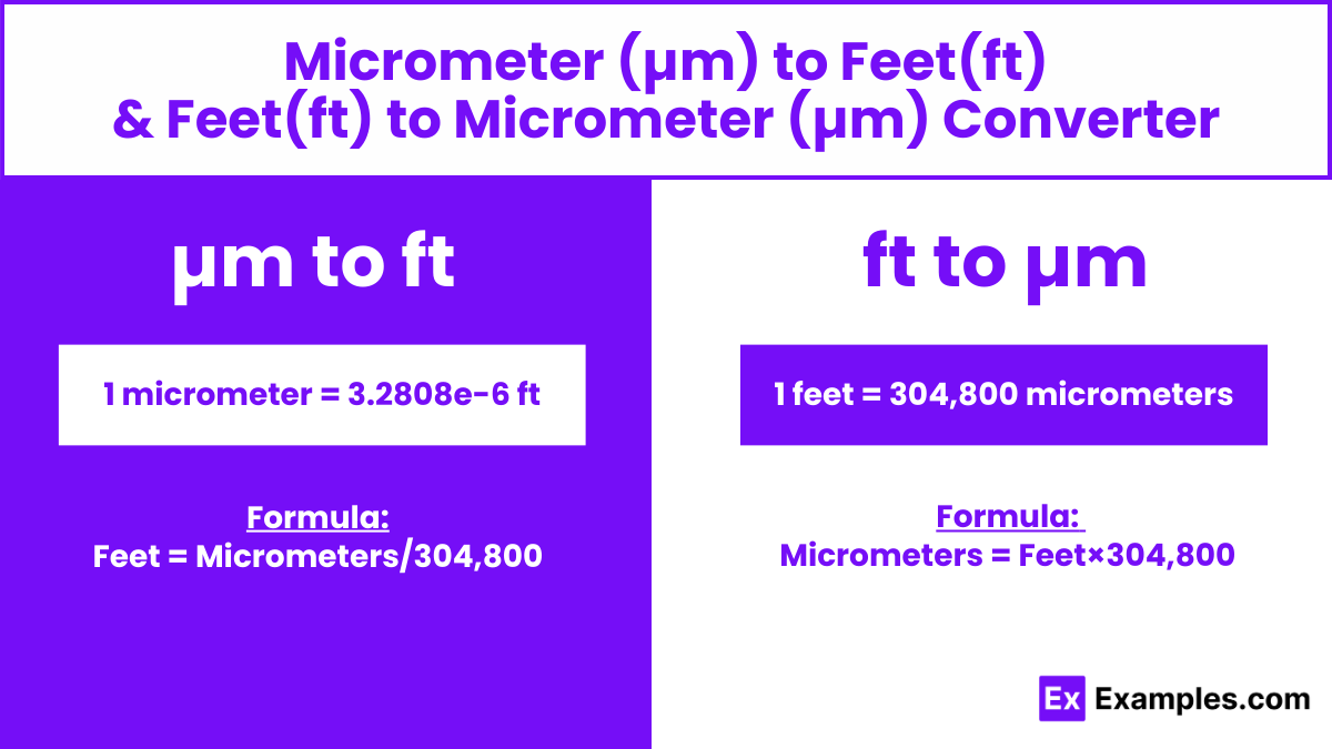 micrometers to feet