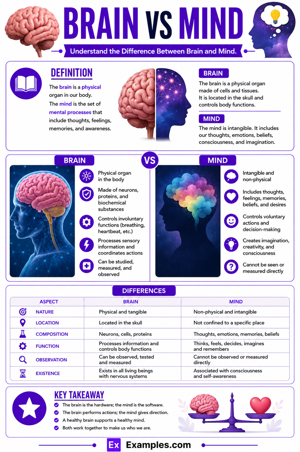 Brain vs Mind – Differences Explained with Example and Functions