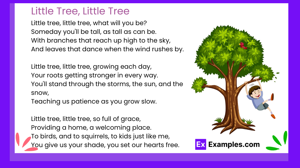 Little Tree, Little Tree