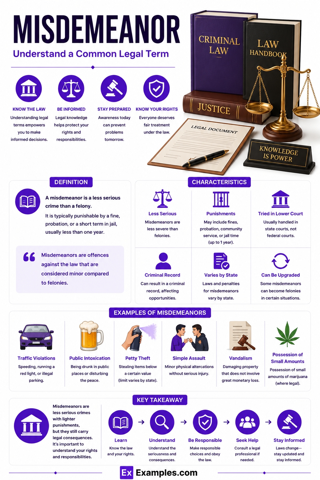 20+ Misdemeanor Examples