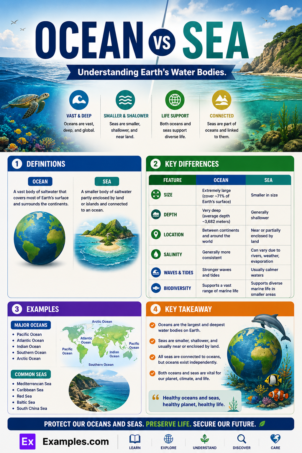 Ocean vs Sea – Difference & Similarities Explained with Examples
