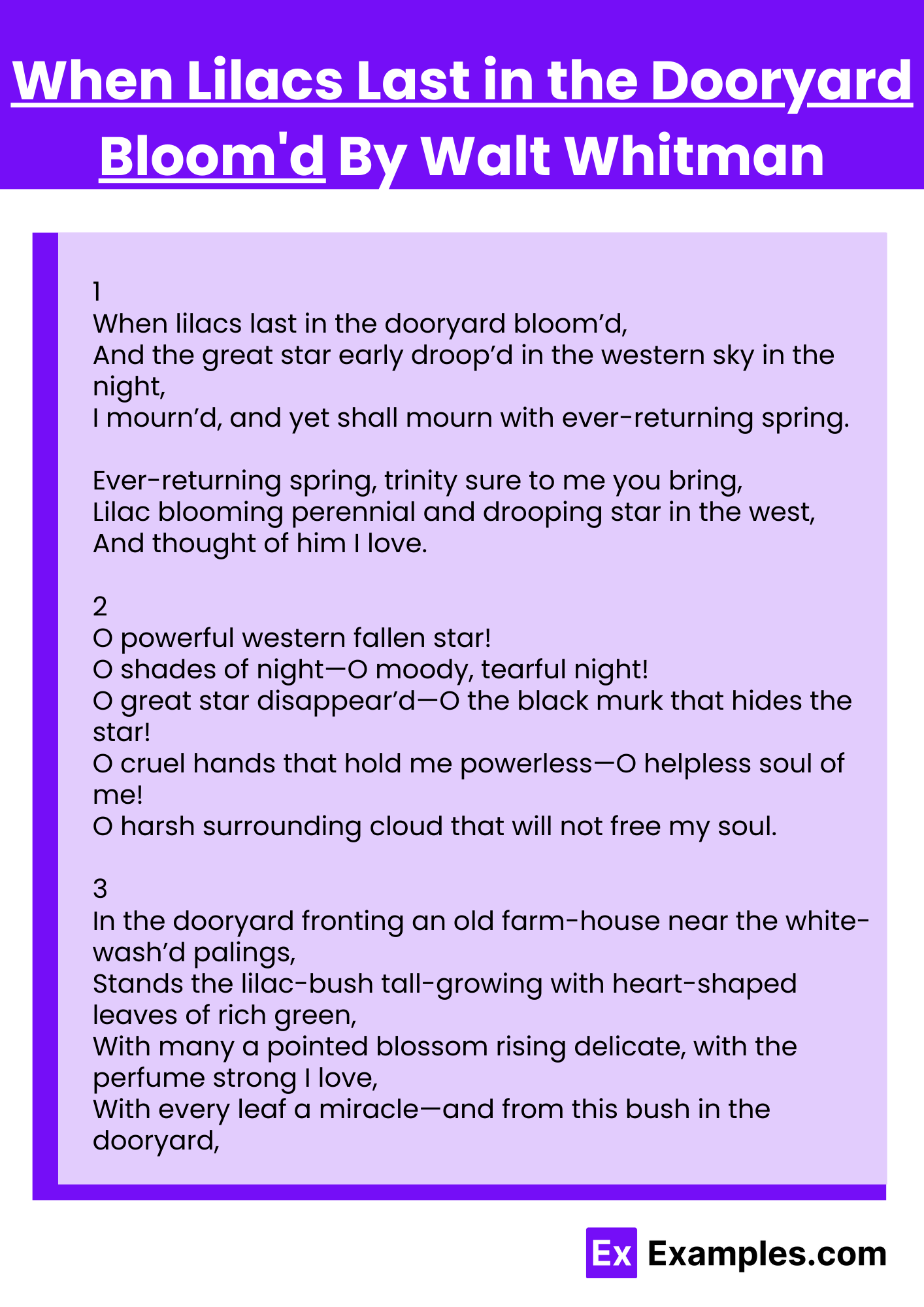 When Lilacs Last in the Dooryard Bloom'd By Walt Whitman