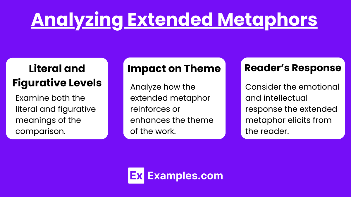 Analyzing Extended Metaphors