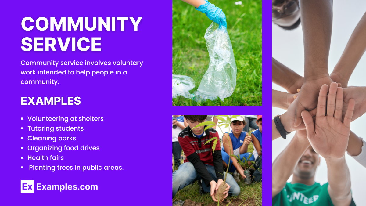 Community Examples In Society