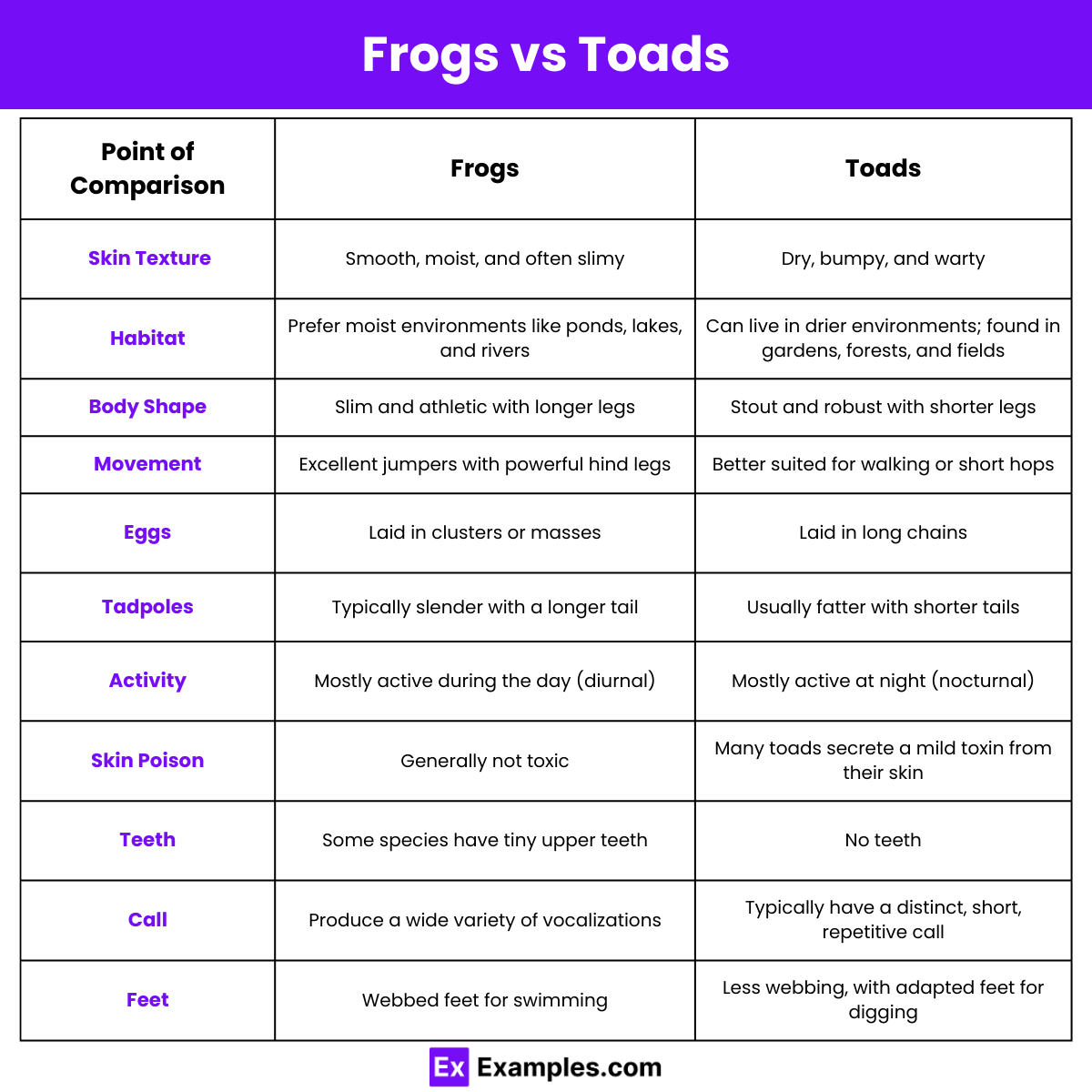 Differences Between Frogs and Toads