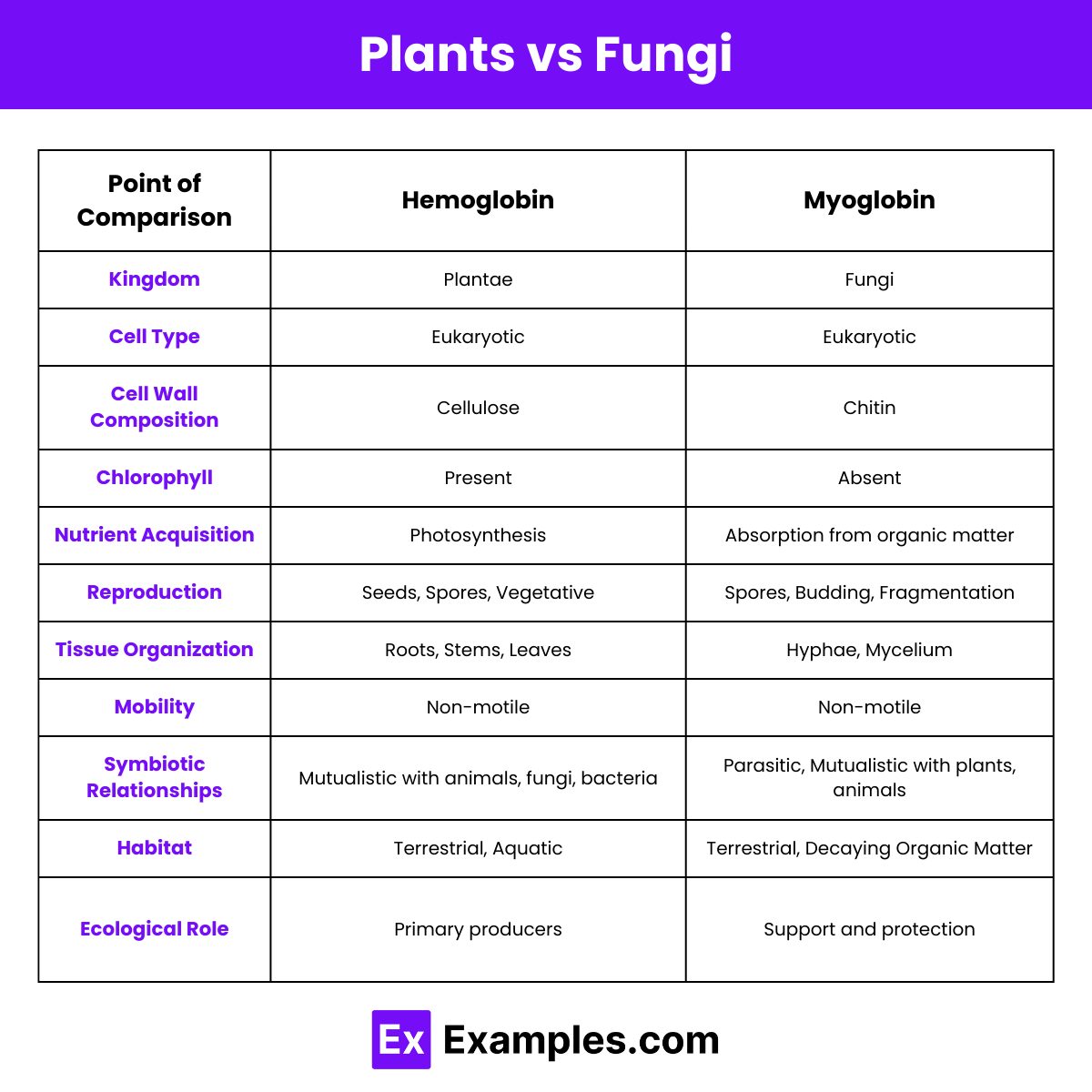 Differences Between Plants and Fungi