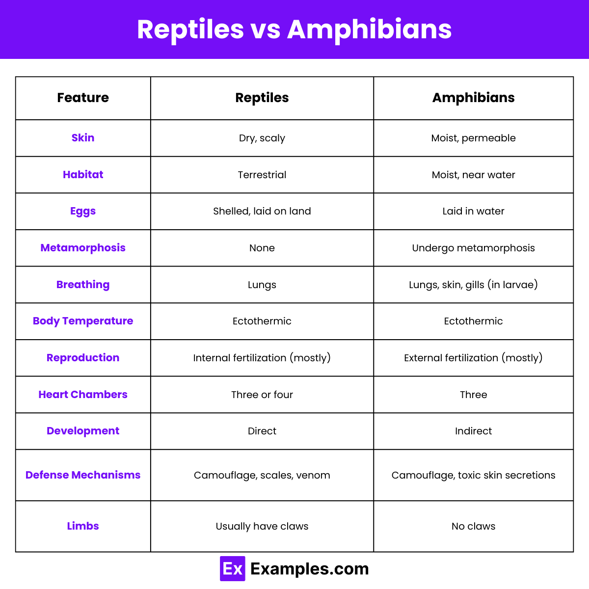 Differences Between Reptiles and Amphibians