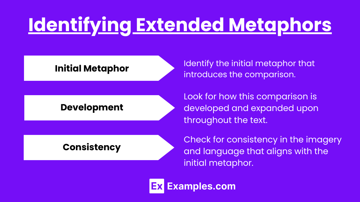Identifying Extended Metaphors