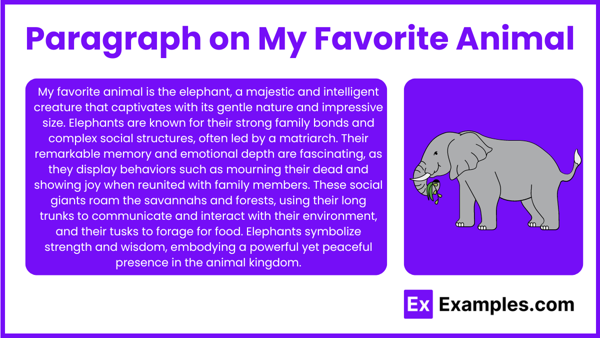 Paragraph on My Favorite Animal - 15+ Examples, Tone & Word Count Wise