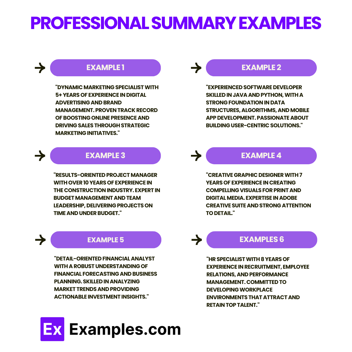 Professional Summary Examples