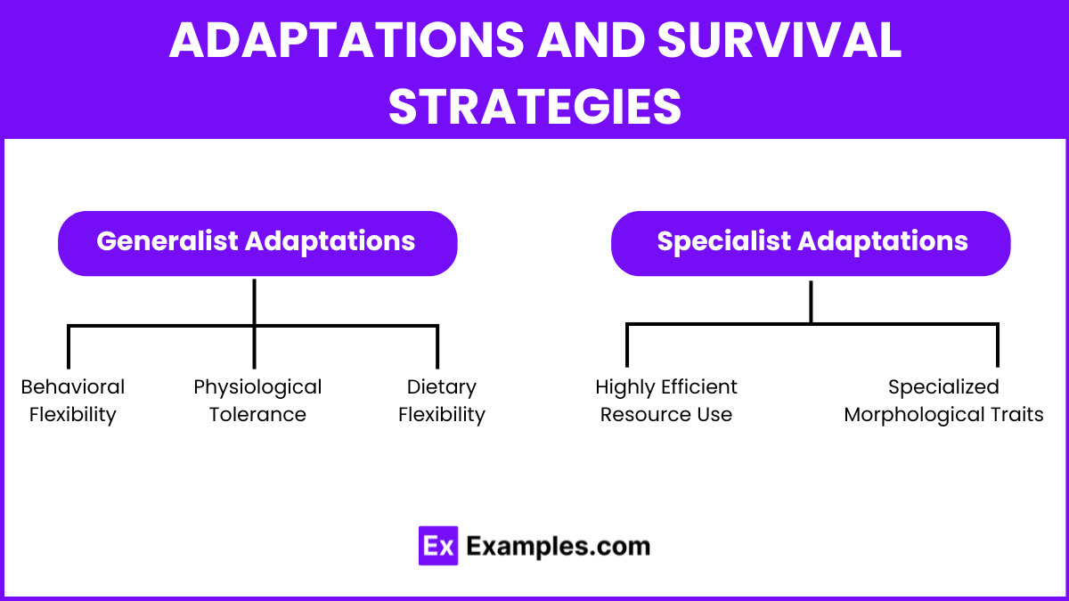 Adaptations and Survival Strategies