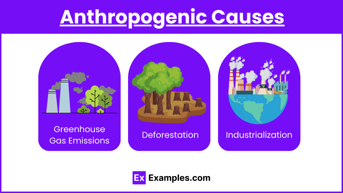 Anthropogenic Causes (1)