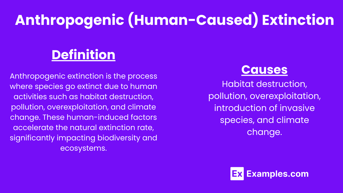 Anthropogenic (Human-Caused) Extinction