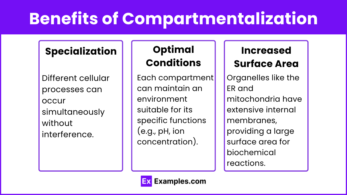 Benefits of Compartmentalization