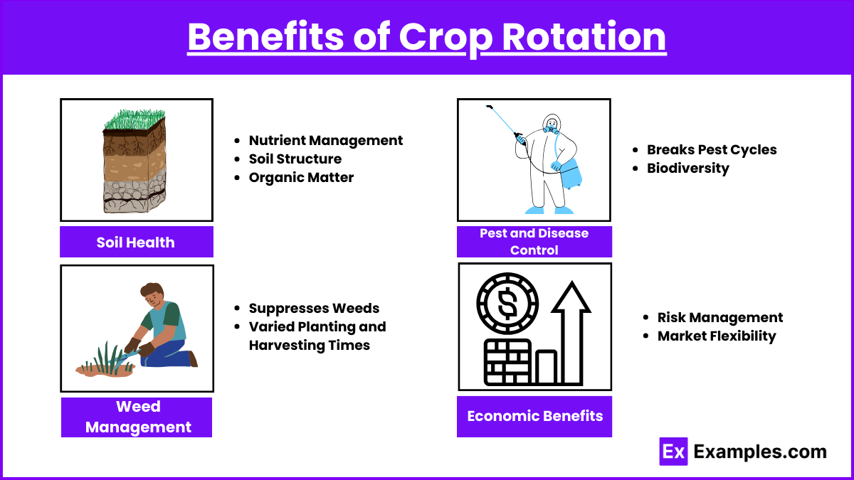 Benefits of Crop Rotation (1)