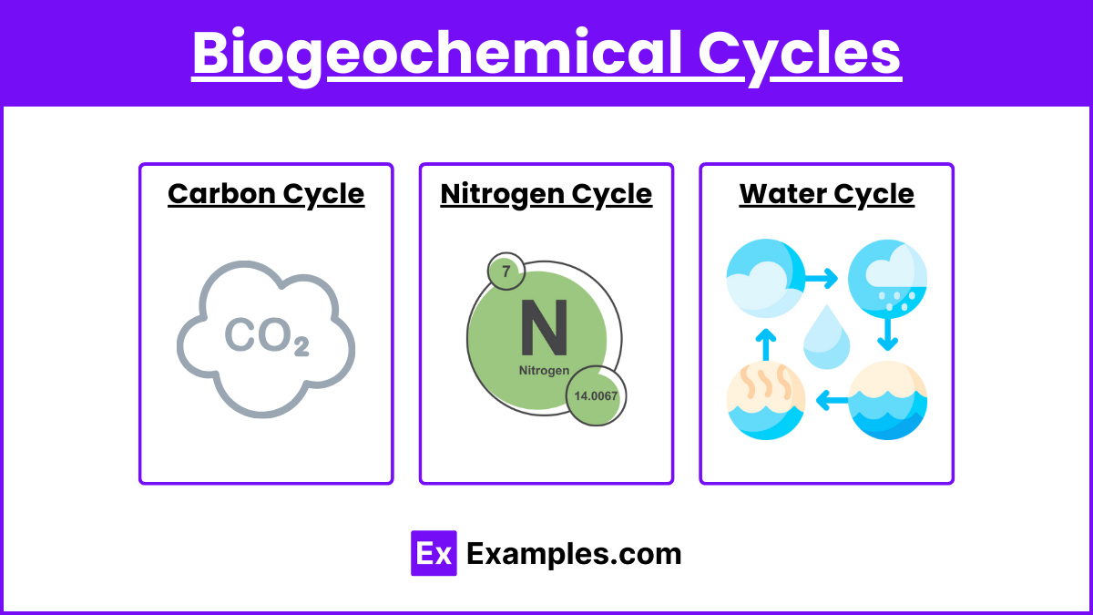 Biogeochemical Cycles