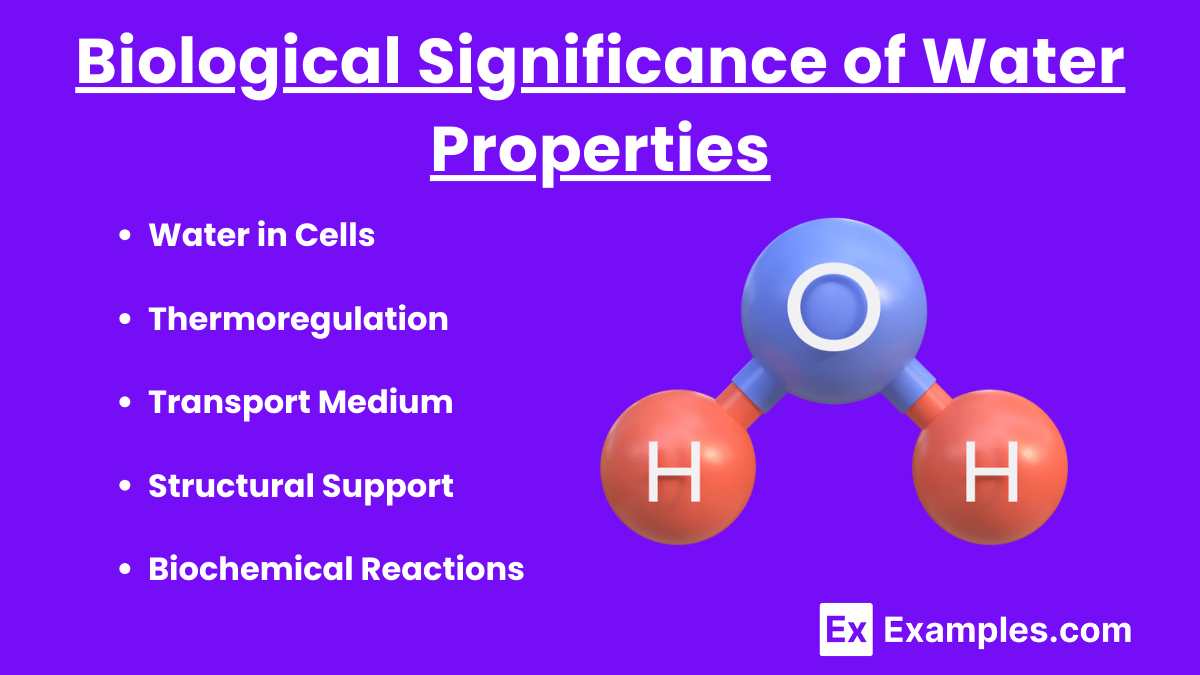 Biological Significance of Water Properties