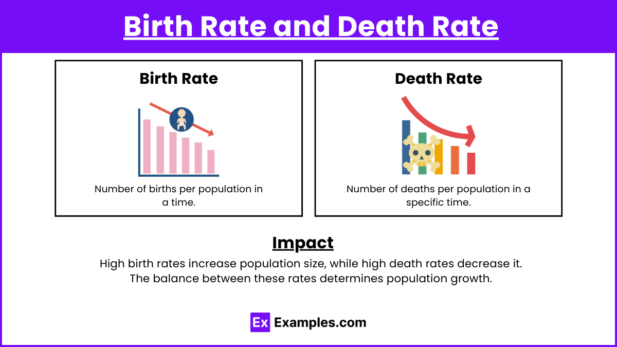 Birth Rate and Death Rate