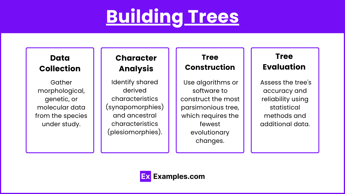 Building Trees