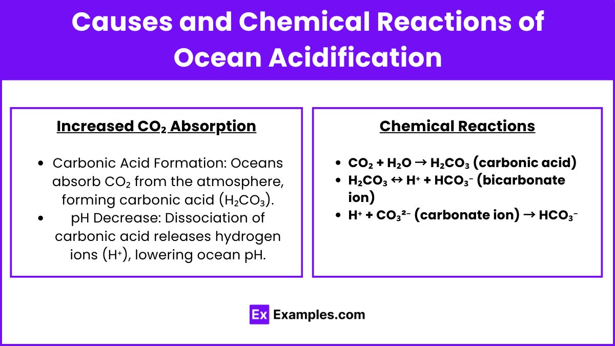 Causes and Chemical Reactions of Ocean Acidification