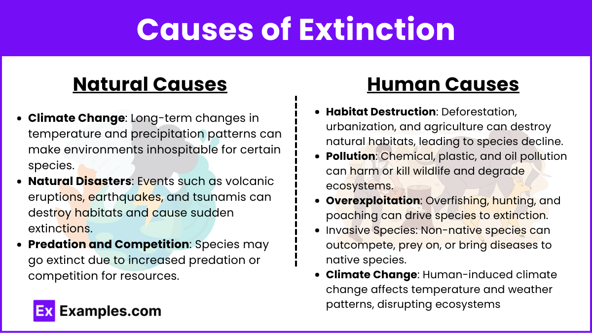 Causes of Extinction (1)