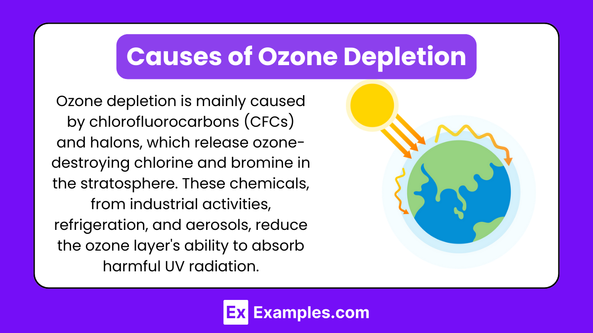 Causes of Ozone Depletion