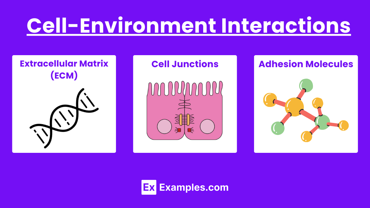 Cell-Environment Interactions
