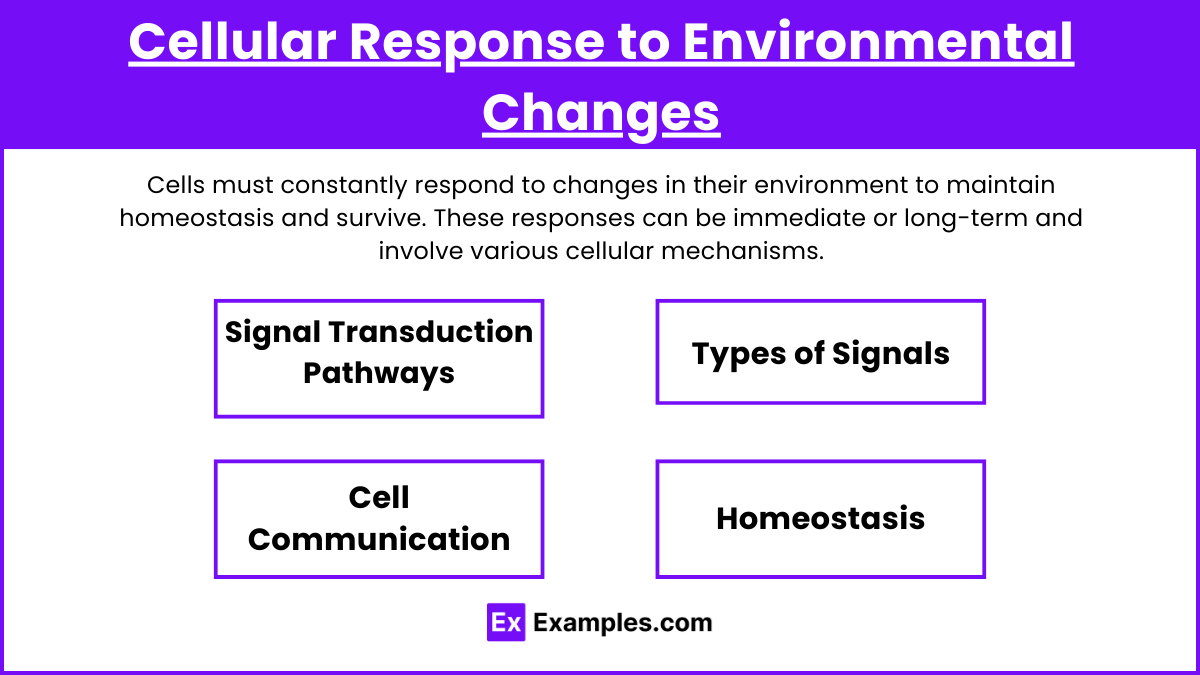 Cellular Response to Environmental Changes