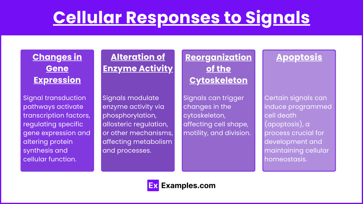 Cellular Responses to Signals (1)