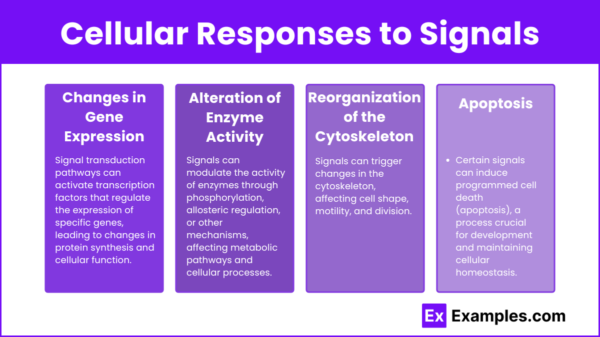 Cellular Responses to Signals