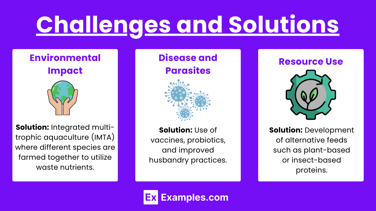 Challenges and Solutions (1)