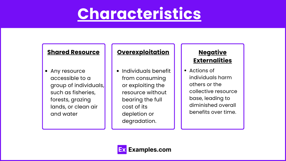 Characteristics (1)
