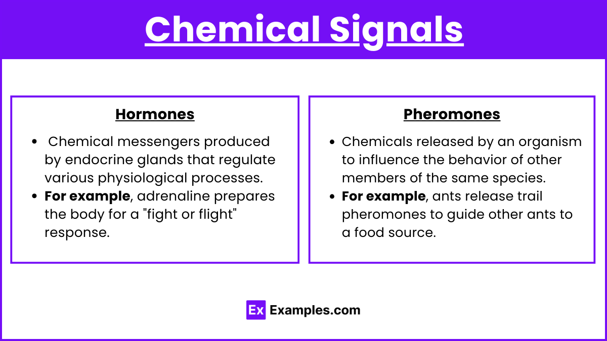 Chemical Signals