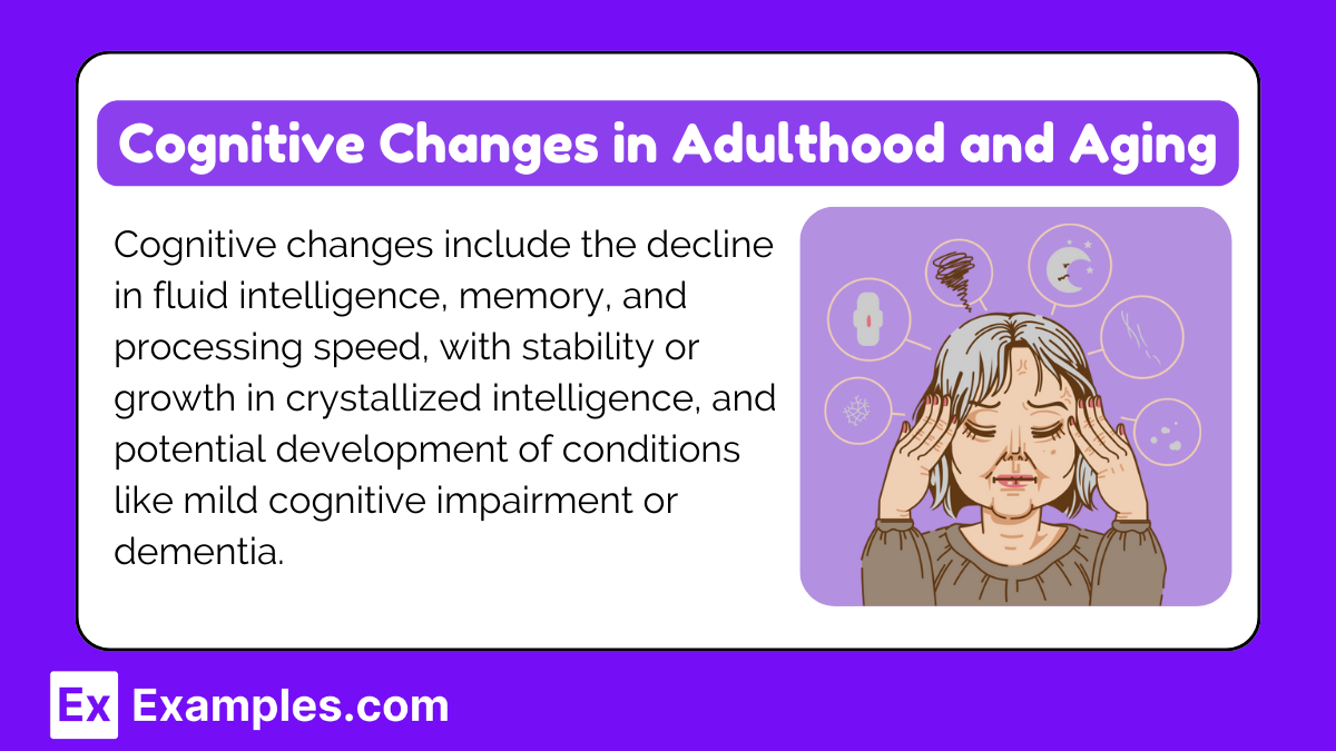 Cognitive Changes in Adulthood and Aging