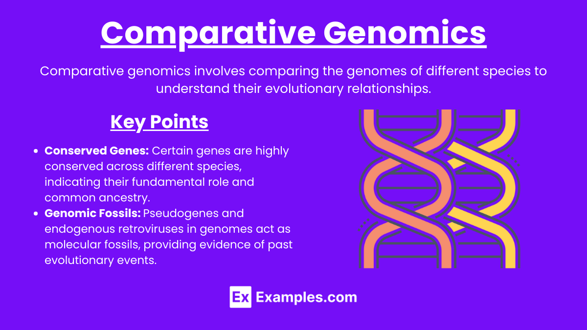 Comparative Genomics