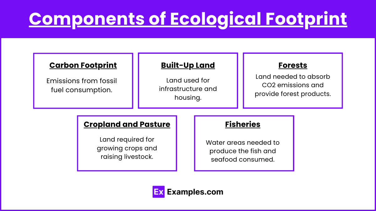 Components of Ecological Footprint