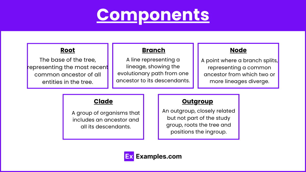 Components