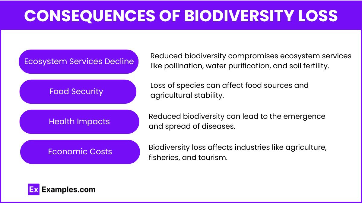 Consequences of Biodiversity Loss