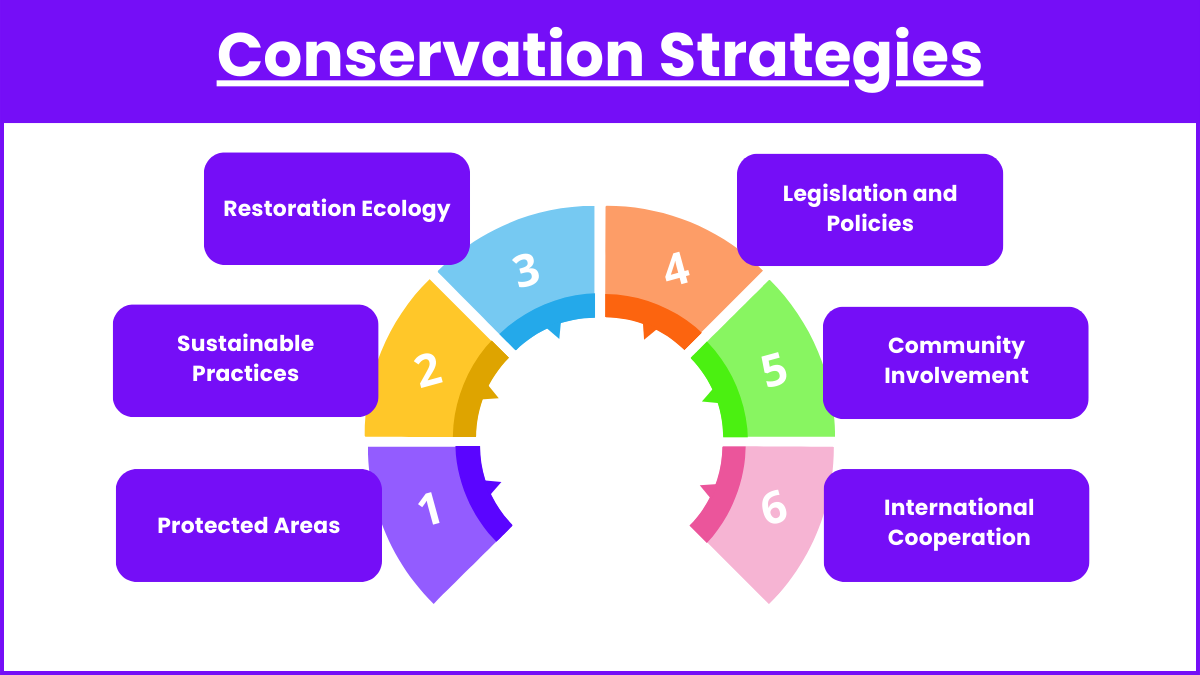 Conservation Strategies
