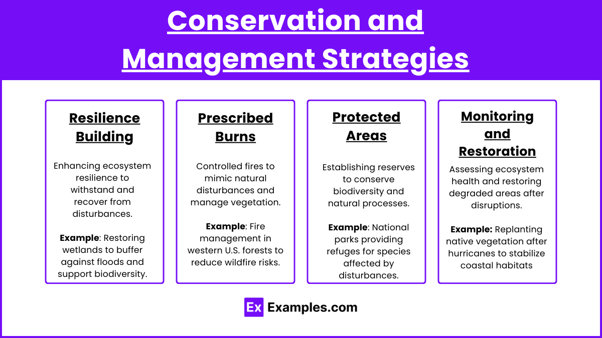Conservation and Management Strategies