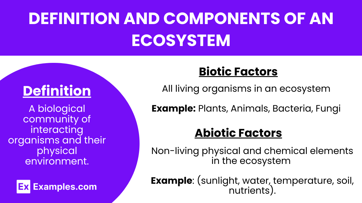 Definition and Components of an Ecosystem