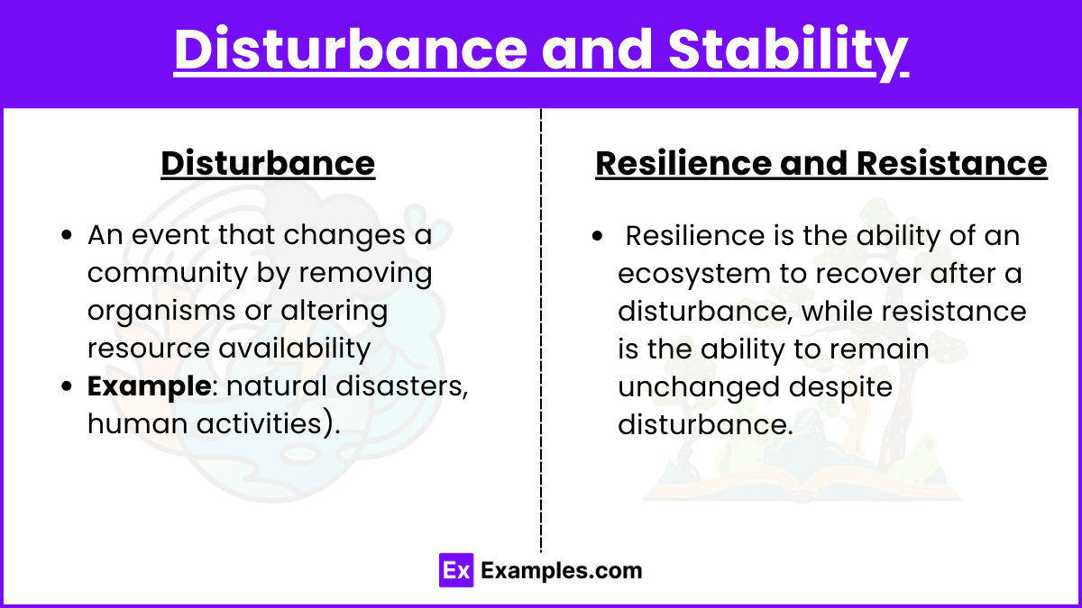 Disturbance and Stability