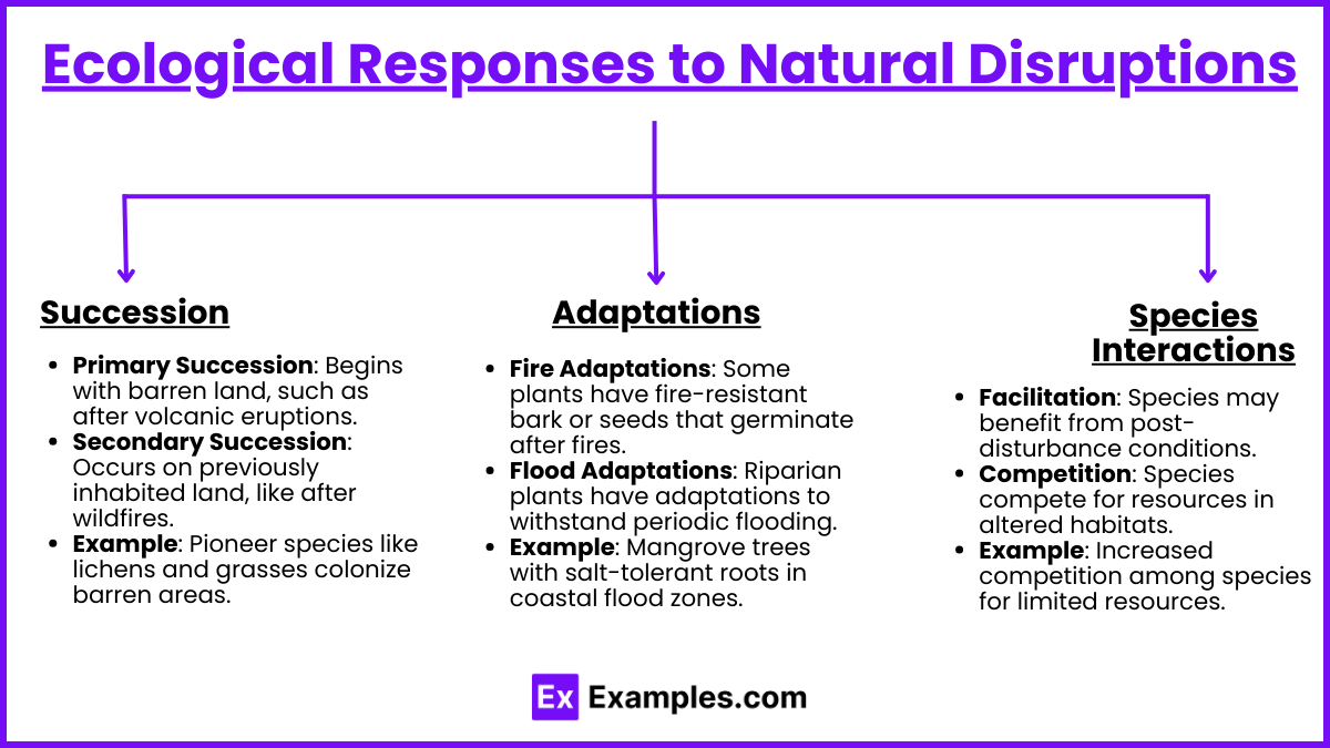 Ecological Responses to Natural Disruptions