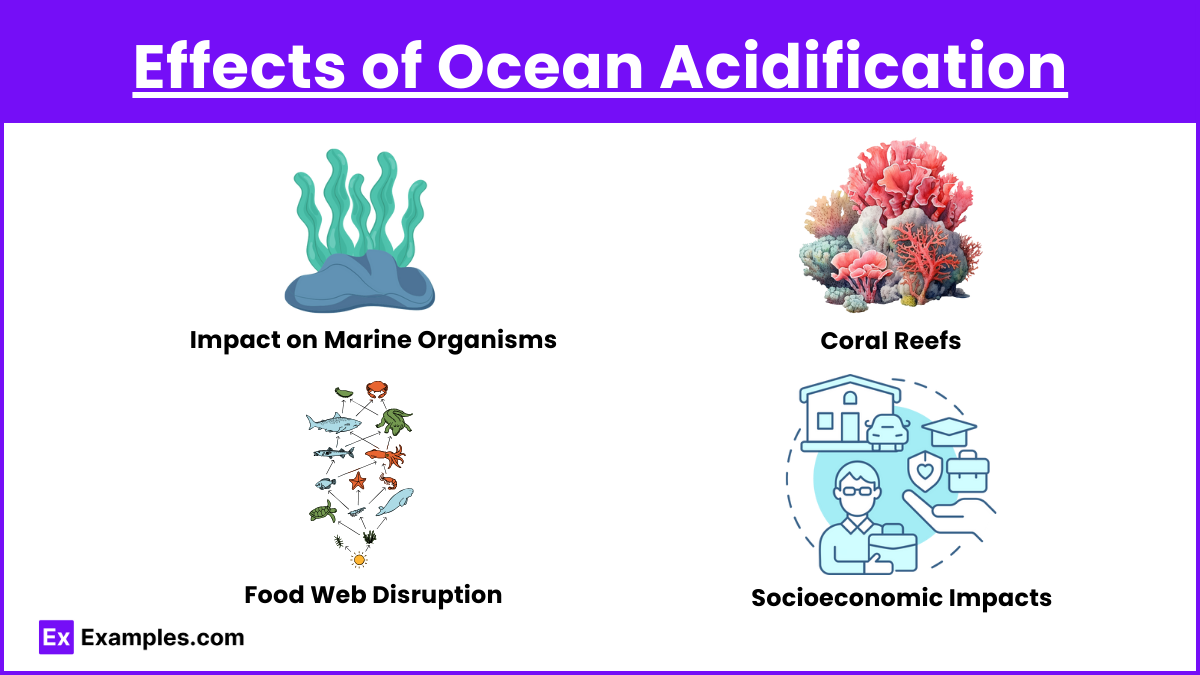 Effects of Ocean Acidification