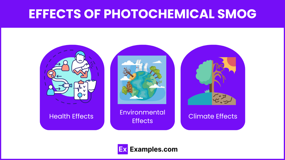 Effects of Photochemical Smog