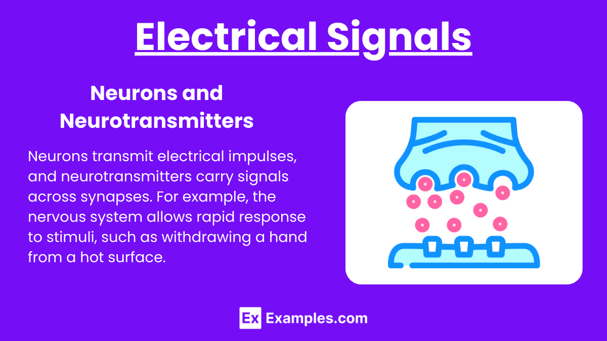 Electrical Signals