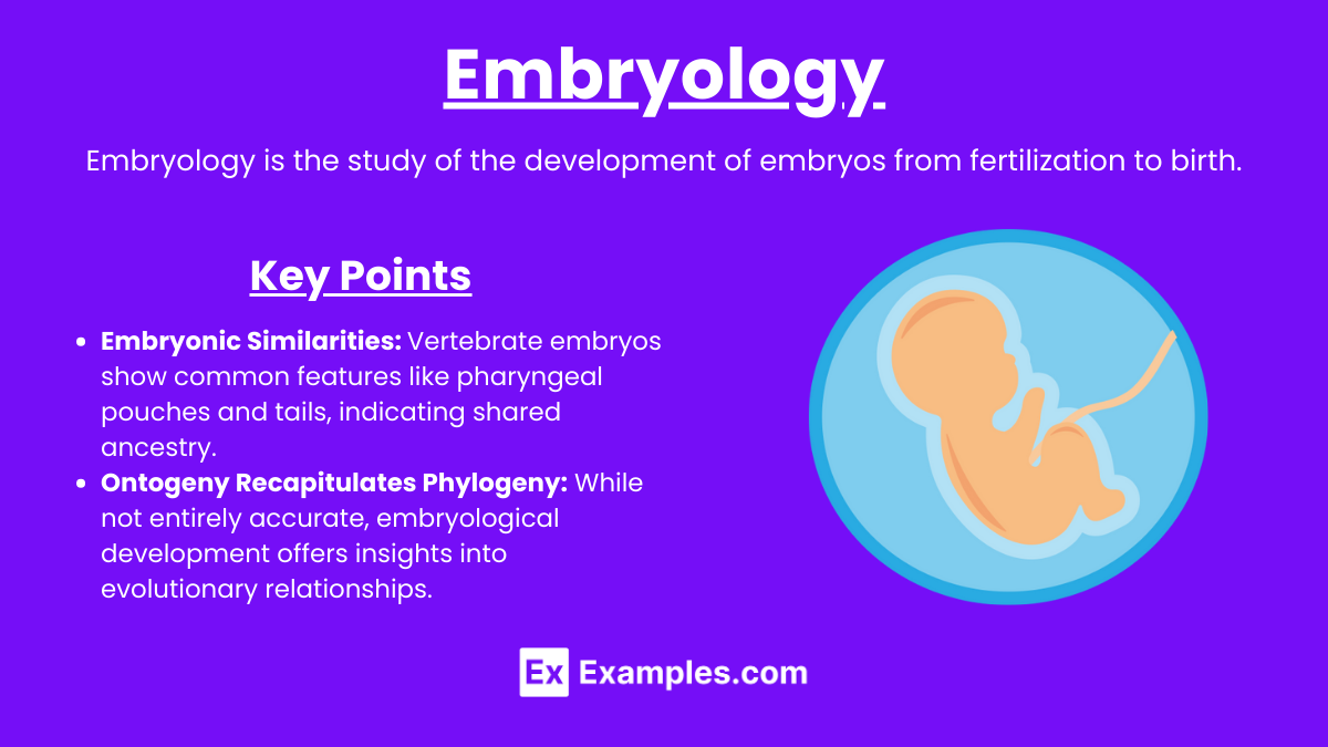 Embryology