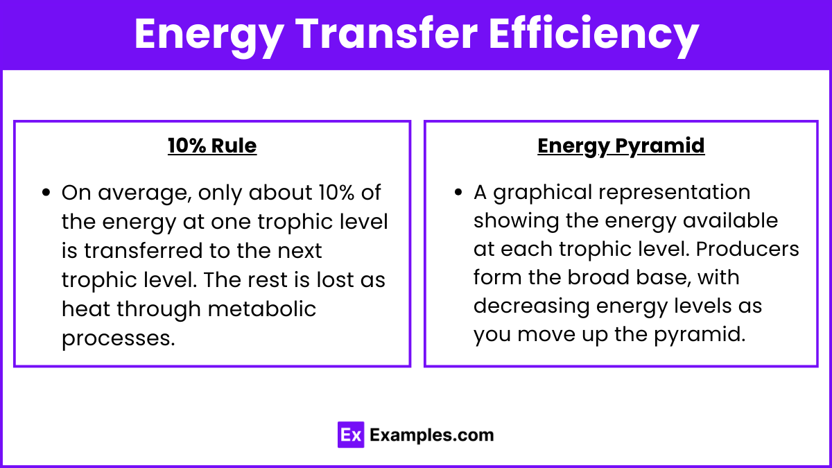 Energy Transfer Efficiency