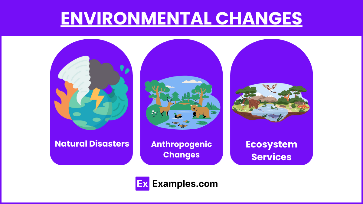 Environmental Changes